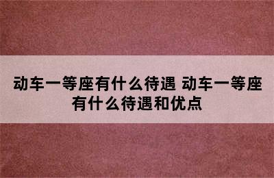 动车一等座有什么待遇 动车一等座有什么待遇和优点